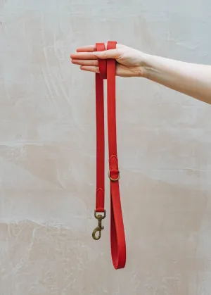 Bald Leather Dog Lead in Red