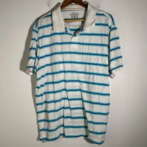 Roebuck & Co. Classic White and Blue Striped Polo Shirt